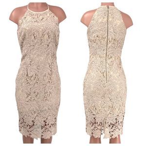 Keepsake The Label True Love Lace Midi Cocktail Dress Rose Size Medium